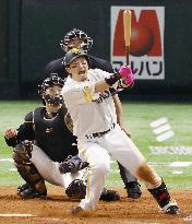 Baseball in Japan