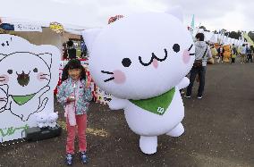 Final edition of Japan mascot contest