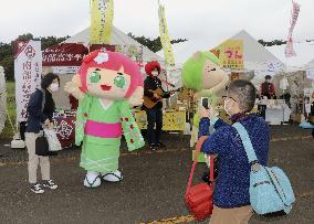 Final edition of Japan mascot contest