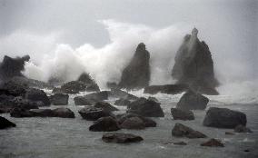 Typhoon Chan-hom approaches Japan