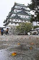 Typhoon Chan-hom approaches Japan