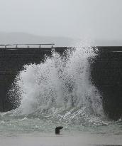 Typhoon Chan-hom approaches Japan