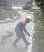 Typhoon Chan-hom approaches Japan