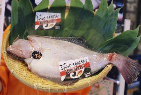 New brand flatfish in central Japan
