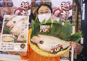 New brand flatfish in central Japan