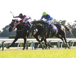 Horse racing: Contrail wins Kikka-sho, Japanese triple crown