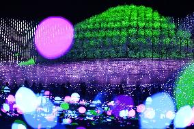 LED illumination at central Japan botanical park