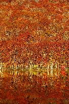 Autumn foliage in northeastern Japan