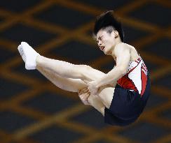 Trampoline: Japanese championships