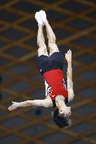 Trampoline: Japanese championships