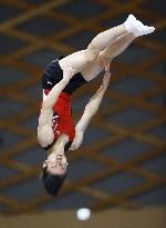 Trampoline: Japanese championships