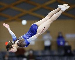 Trampoline: Japanese championships