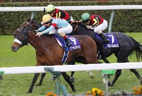 Horse racing: Almond Eye wins Tenno-sho for record 8th G1 title