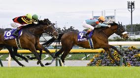 Horse racing: Almond Eye wins Tenno-sho for record 8th G1 title