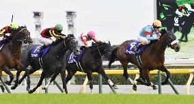 Horse racing: Almond Eye wins Tenno-sho for record 8th G1 title