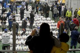 Tokyo's tuna auctions resume public viewing