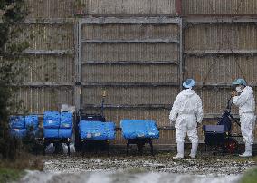 Bird flu case in western Japan
