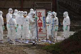Bird flu case in western Japan
