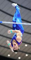 Gymnastics: Four-nation meet in Tokyo