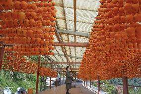 Production of skewered persimmons in western Japan