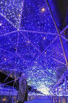Flower-themed illumination in western Japan
