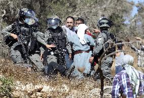 Clash between Palestinians and Jewish settlers at olive grove