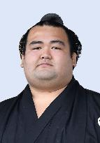 Sumo: Former ozeki Kotoshogiku retires