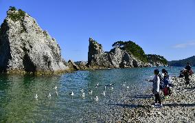 Jodogahama beach in northeastern Japan