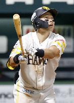 Baseball: Climax Series in Japan