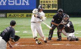 Baseball: Climax Series in Japan