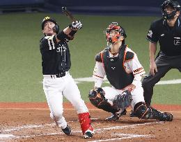 Baseball: Japan Series