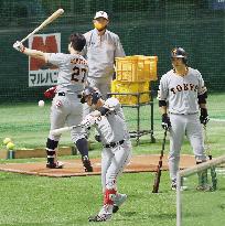 Baseball: Japan Series