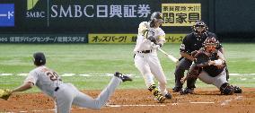 Baseball: Japan Series