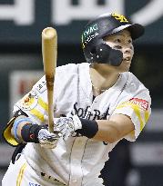 Baseball: Japan Series