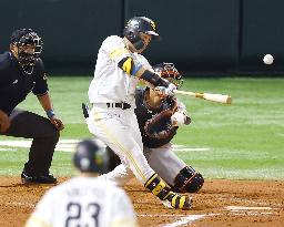 Baseball: Japan Series