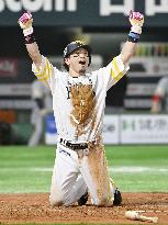 Baseball: Japan Series