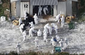 Avian flu outbreak in southwestern Japan