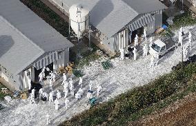 Avian flu outbreak in southwestern Japan