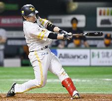 Baseball: Japan Series