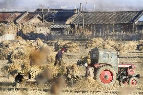 Winter preparation on N. Korean island