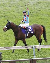 Horse racing: Almond Eye wins Japan Cup