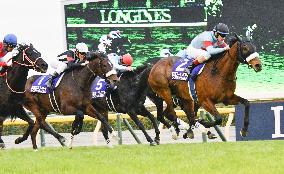 Horse racing: Almond Eye wins Japan Cup