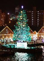 Christmas tree in Hakodate