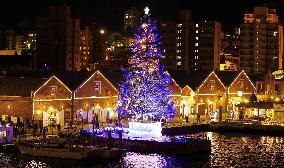 Christmas tree in Hakodate