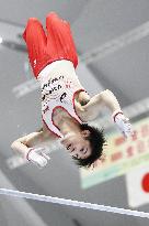 Gymnastics: Uchimura at national c'ships