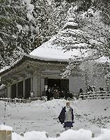 Snow in Japan