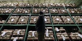 Surplus rice in Japan amid coronavirus pandemic