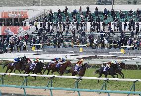 Horse racing: Arima Kinen