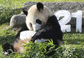 Giant panda at Japan zoo ahead of 2021