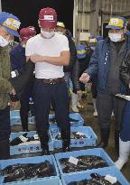 Year's 1st pufferfish auction in western Japan